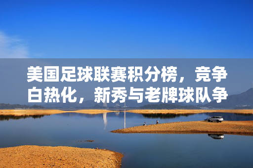 美国足球联赛积分榜，竞争白热化，新秀与老牌球队争夺榜首，美国足球联赛积分榜白热化，新秀与老牌球队争夺榜首