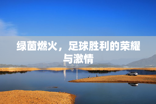绿茵燃火，足球胜利的荣耀与激情