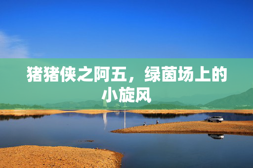 猪猪侠之阿五，绿茵场上的小旋风