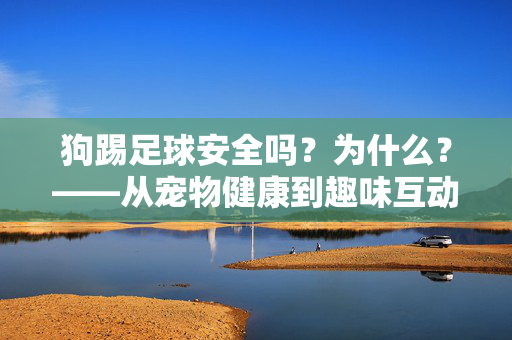 狗踢足球安全吗？为什么？——从宠物健康到趣味互动的深度解析，狗踢足球安全吗？为什么？——从宠物健康到趣味互动的深度解析