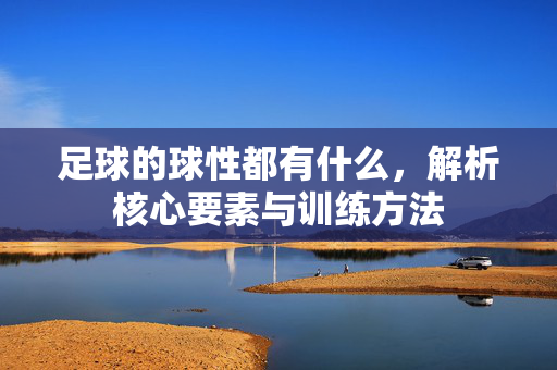 足球的球性都有什么，解析核心要素与训练方法