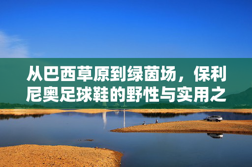 从巴西草原到绿茵场，保利尼奥足球鞋的野性与实用之选，从巴西草原到绿茵场，保利尼奥足球鞋的野性与实用之选