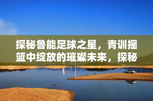 探秘鲁能足球之星，青训摇篮中绽放的璀璨未来，探秘鲁能足球之星，青训摇篮中绽放的璀璨未来