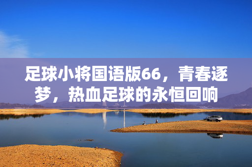 足球小将国语版66，青春逐梦，热血足球的永恒回响