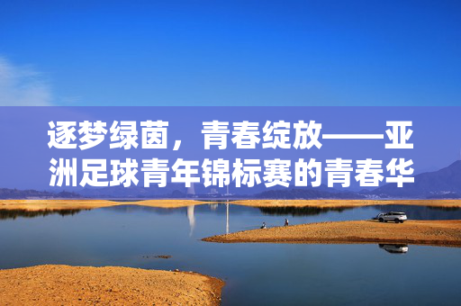 逐梦绿茵，青春绽放——亚洲足球青年锦标赛的青春华章，逐梦绿茵，青春绽放——亚洲足球青年锦标赛的青春华章