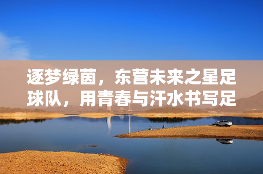 逐梦绿茵，东营未来之星足球队，用青春与汗水书写足球新篇章，逐梦绿茵，东营未来之星足球队用青春与汗水书写足球新篇章