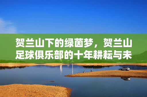 贺兰山下的绿茵梦，贺兰山足球俱乐部的十年耕耘与未来展望