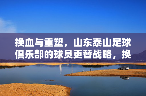 换血与重塑，山东泰山足球俱乐部的球员更替战略，换血与重塑，山东泰山足球俱乐部的球员更替战略
