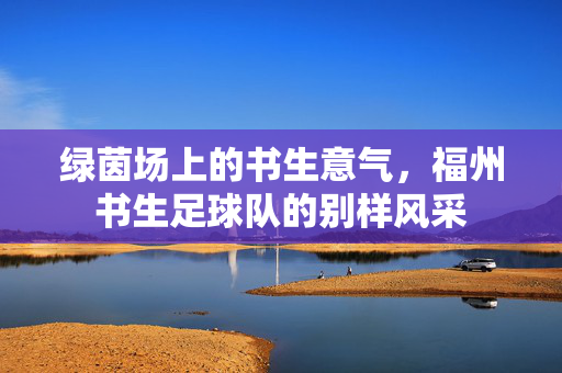 绿茵场上的书生意气，福州书生足球队的别样风采