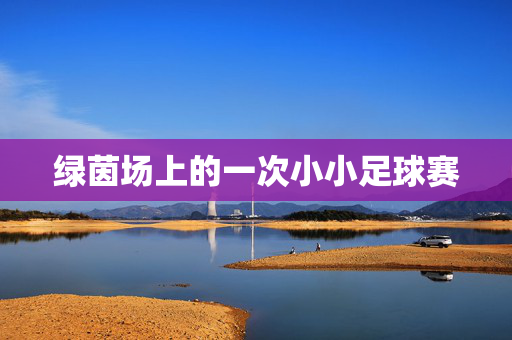 绿茵场上的一次小小足球赛