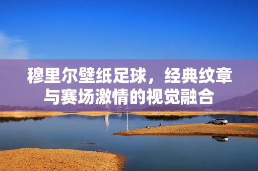 穆里尔壁纸足球，经典纹章与赛场激情的视觉融合