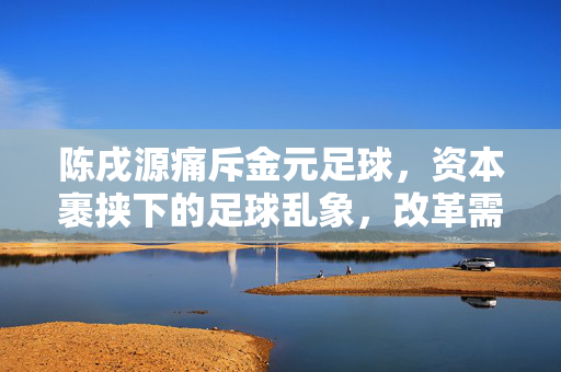 陈戌源痛斥金元足球，资本裹挟下的足球乱象，改革需回归本源