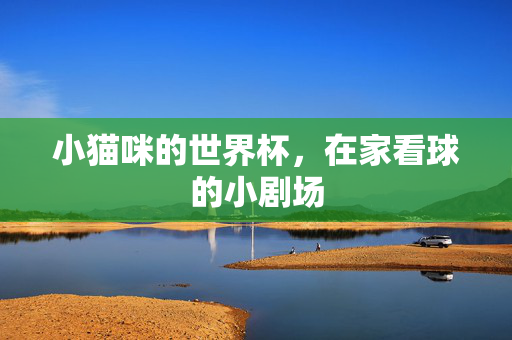 小猫咪的世界杯，在家看球的小剧场