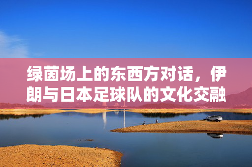 绿茵场上的东西方对话,伊朗与日本足球队的文化交融与竞技碰撞,绿茵场上的东西方对话,伊朗与日本足球队的文化交融与竞技碰撞