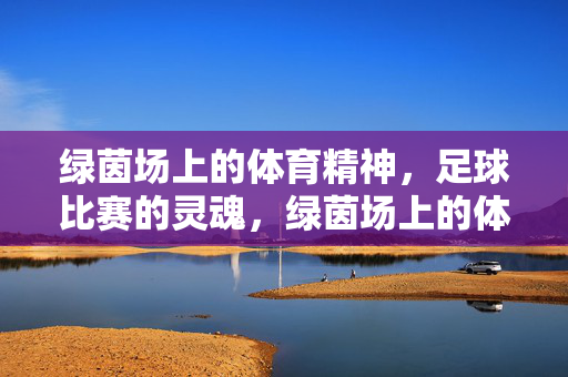 绿茵场上的体育精神,足球比赛的灵魂,绿茵场上的体育精神,足球比赛的灵魂