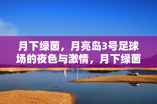 月下绿茵,月亮岛3号足球场的夜色与激情,月下绿茵,月亮岛3号足球场的夜色与激情