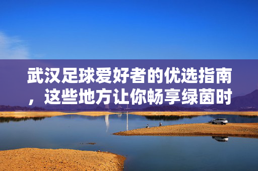 武汉足球爱好者的优选指南，这些地方让你畅享绿茵时光，武汉足球爱好者的优选指南，这些地方让你畅享绿茵时光