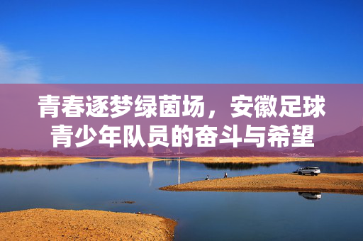 青春逐梦绿茵场，安徽足球青少年队员的奋斗与希望