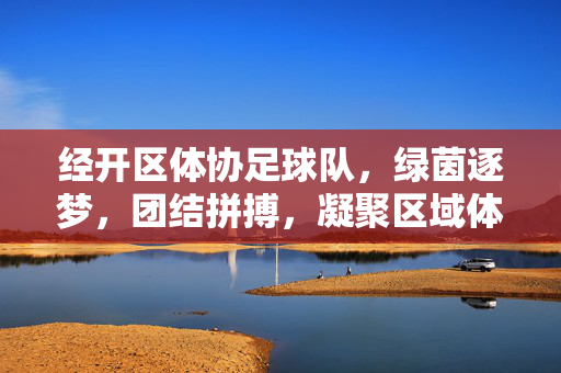 经开区体协足球队，绿茵逐梦，团结拼搏，凝聚区域体育活力，经开区体协足球队，绿茵逐梦，团结拼搏，凝聚区域体育活力