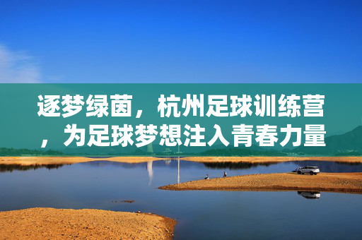 逐梦绿茵，杭州足球训练营，为足球梦想注入青春力量