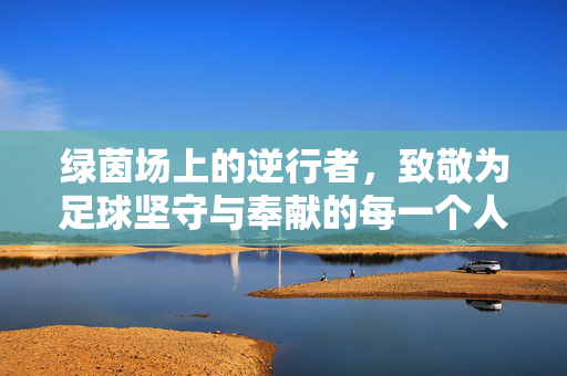 绿茵场上的逆行者，致敬为足球坚守与奉献的每一个人