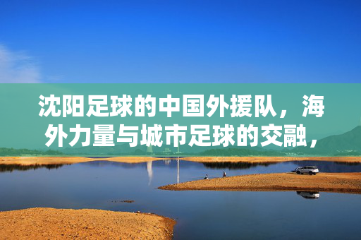 沈阳足球的中国外援队，海外力量与城市足球的交融，沈阳足球的中国外援队，海外力量与城市足球的交融
