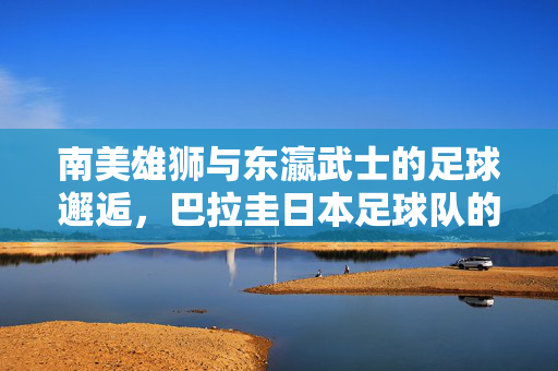 南美雄狮与东瀛武士的足球邂逅，巴拉圭日本足球队的对决，南美雄狮与东瀛武士的足球对决，巴拉圭vs日本