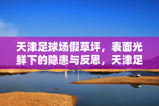 天津足球场假草坪，表面光鲜下的隐患与反思，天津足球场假草坪，表面光鲜下的隐患与反思
