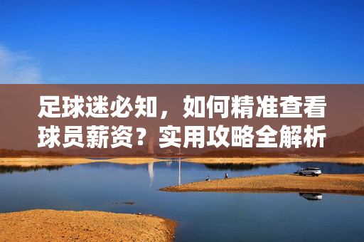 足球迷必知，如何精准查看球员薪资？实用攻略全解析