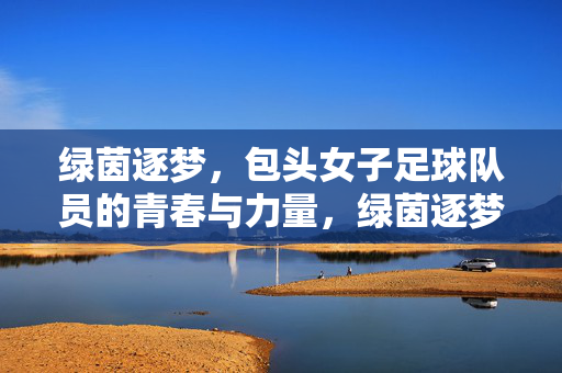 绿茵逐梦，包头女子足球队员的青春与力量，绿茵逐梦，包头女子足球队员的青春与力量