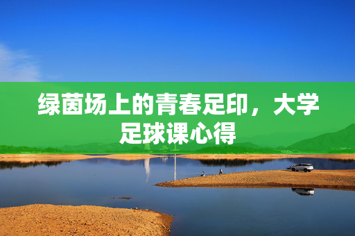 绿茵场上的青春足印，大学足球课心得