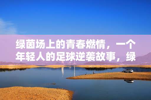 绿茵场上的青春燃情，一个年轻人的足球逆袭故事，绿茵青春燃情，一个年轻人的足球逆袭故事
