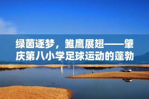 绿茵逐梦，雏鹰展翅——肇庆第八小学足球运动的蓬勃发展，绿茵逐梦，雏鹰展翅——肇庆第八小学足球运动的蓬勃发展