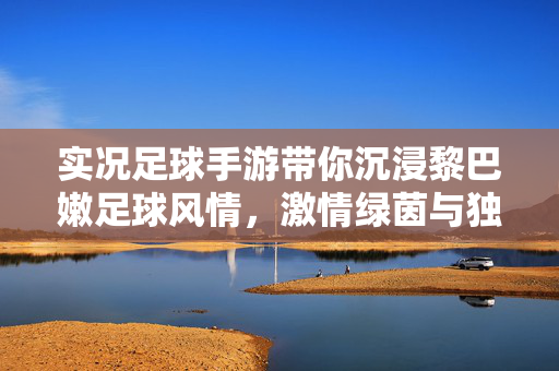 实况足球手游带你沉浸黎巴嫩足球风情，激情绿茵与独特文化交融的体验，实况足球手游，沉浸黎巴嫩足球风情，激情绿茵与独特文化交融的体验