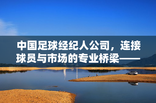 中国足球经纪人公司，连接球员与市场的专业桥梁——行业发展与机遇探析，中国足球经纪人公司，连接球员与市场的专业桥梁——行业发展与机遇探析
