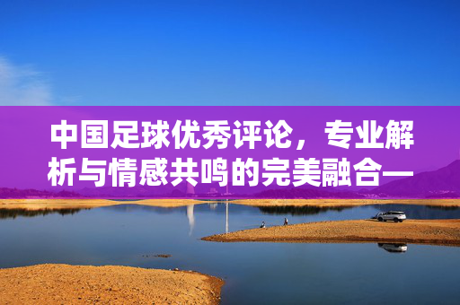中国足球优秀评论，专业解析与情感共鸣的完美融合——从赛场战术到精神传承的深度洞察，中国足球优秀评论，专业解析与情感共鸣的完美融合——从赛场战术到精神传承的深度洞察