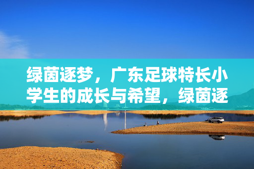 绿茵逐梦，广东足球特长小学生的成长与希望，绿茵逐梦，广东足球特长小学生的成长与希望