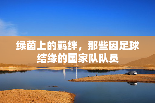 绿茵上的羁绊，那些因足球结缘的国家队队员