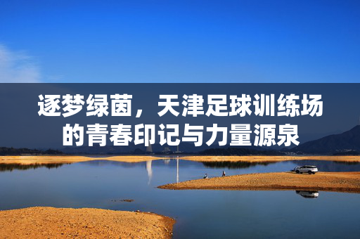 逐梦绿茵，天津足球训练场的青春印记与力量源泉