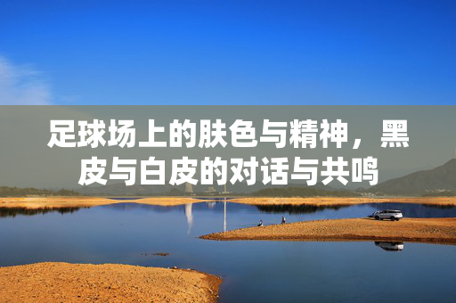 足球场上的肤色与精神，黑皮与白皮的对话与共鸣