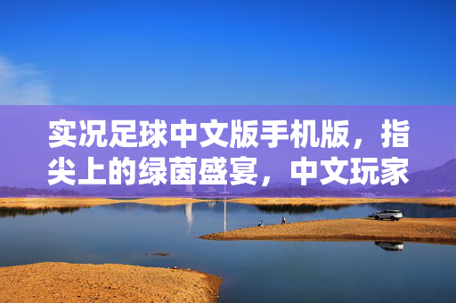 实况足球中文版手机版，指尖上的绿茵盛宴，中文玩家专属的足球激情体验，实况足球中文版手机版，指尖上的绿茵盛宴，中文玩家专属的足球激情体验