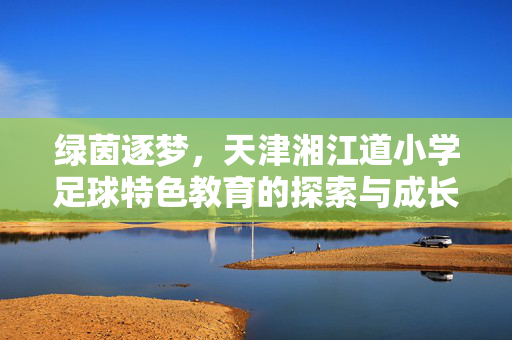 绿茵逐梦，天津湘江道小学足球特色教育的探索与成长，绿茵逐梦，天津湘江道小学足球特色教育的探索与成长