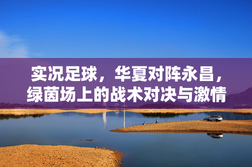 实况足球，华夏对阵永昌，绿茵场上的战术对决与激情碰撞，实况足球，华夏对阵永昌，绿茵场上的战术对决与激情碰撞