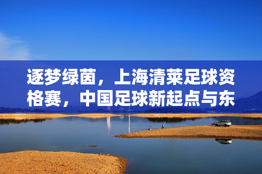 逐梦绿茵,上海清莱足球资格赛,中国足球新起点与东南亚体育合作新篇章,逐梦绿茵,上海清莱足球资格赛,中国足球新起点与东南亚体育合作新篇章