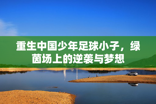 重生中国少年足球小子，绿茵场上的逆袭与梦想