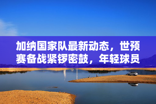 加纳国家队最新动态，世预赛备战紧锣密鼓，年轻球员崛起成新看点