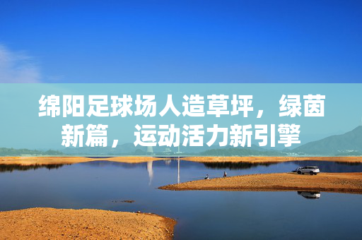 绵阳足球场人造草坪，绿茵新篇，运动活力新引擎