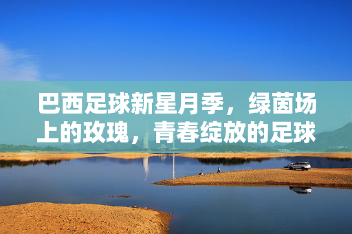 巴西足球新星月季，绿茵场上的玫瑰，青春绽放的足球梦想，巴西足球新星月季，绿茵场上的玫瑰，青春绽放的足球梦想