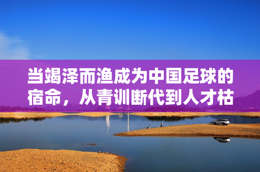 当竭泽而渔成为中国足球的宿命，从青训断代到人才枯竭的循环，当竭泽而渔成为中国足球宿命，青训断代与人才枯竭的循环