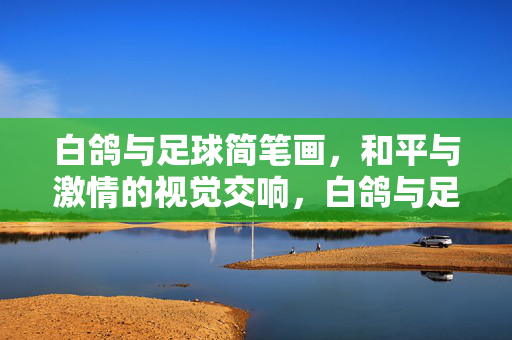白鸽与足球简笔画，和平与激情的视觉交响，白鸽与足球简笔画，和平与激情的视觉交响